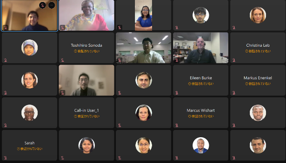 Participants in the online seminar